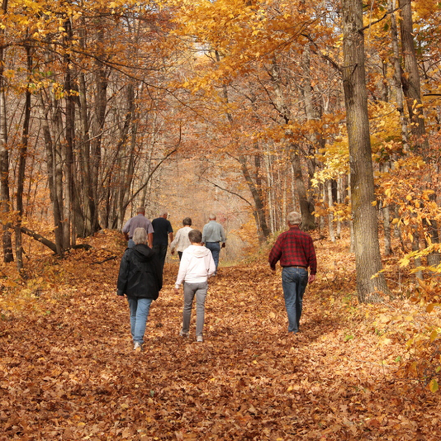 Maplewood Walk Candis Berge