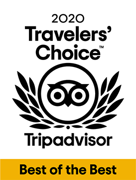 Trip Advisor Copy 273x360