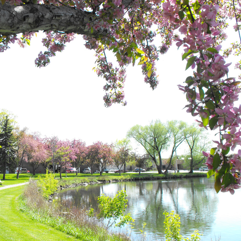 Veteran's Park With Flowers D