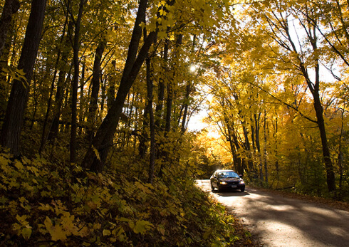 Vff Scenic Byway Driving